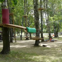 Park linowy w Pabianicach oferuje mnóstwo atrakcji. Drewniane platformy i liny tworzą tor przeszkód wśród drzew.