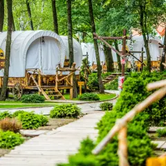 Wagony kowbojskie w Western Camp – świetne okolice Krakowa atrakcje dla dzieci. Drewniane ścieżki i zielone krzewy tworzą klimat.