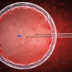 Jak rozpoznać dziecko z in vitro? Mity i fakty o rozwoju dzieci