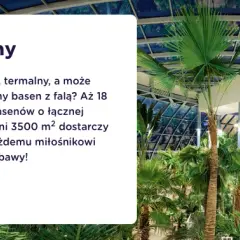 Ile kosztowało Suntago? Sprawdź ceny biletów i promocje teraz