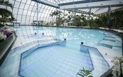 Tropikalny aquapark pod Warszawą z basenami, palmami i egzotycznymi kwiatami pod szklanym dachem.