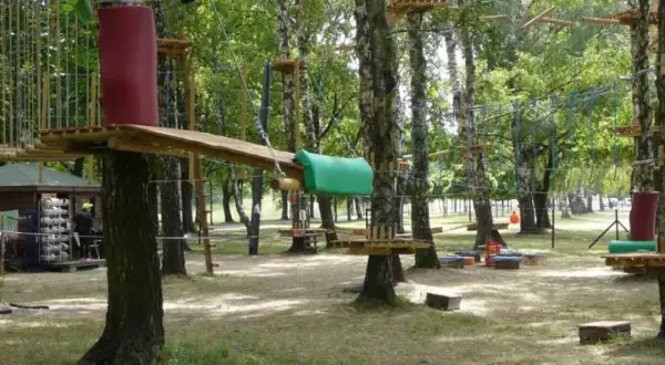 Park linowy w Pabianicach oferuje mnóstwo atrakcji. Drewniane platformy i liny tworzą tor przeszkód wśród drzew.