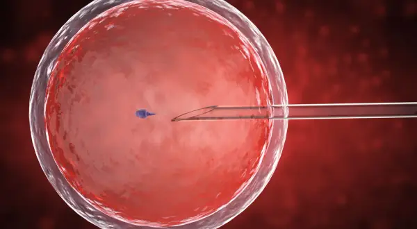 Jak rozpoznać dziecko z in vitro? Mity i fakty o rozwoju dzieci