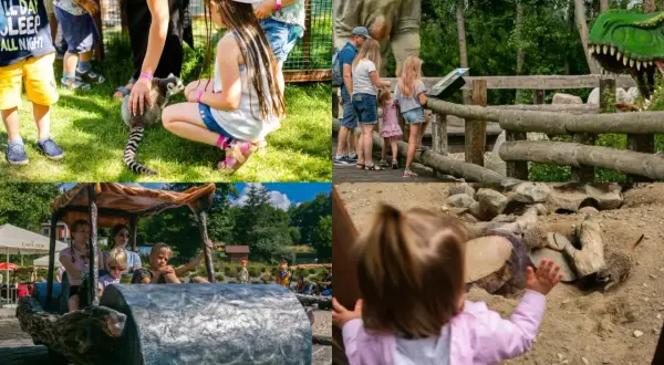 Rodzinne atrakcje na weekend w Trójmieście: dzieci karmią lemura, oglądają dinozaury i bawią się w jaskini.