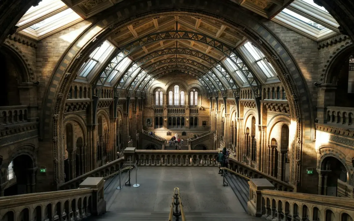Wnętrze Muzeum Historii Naturalnej w Londynie. Sprawdź muzeum historii naturalnej londyn cena biletu, by zaplanować wizytę.