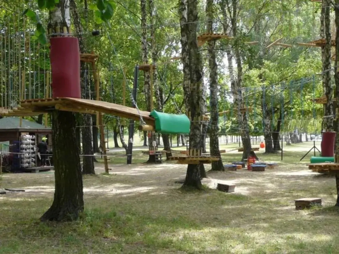 Park linowy w Pabianicach oferuje mnóstwo atrakcji. Drewniane platformy i liny tworzą tor przeszkód wśród drzew.