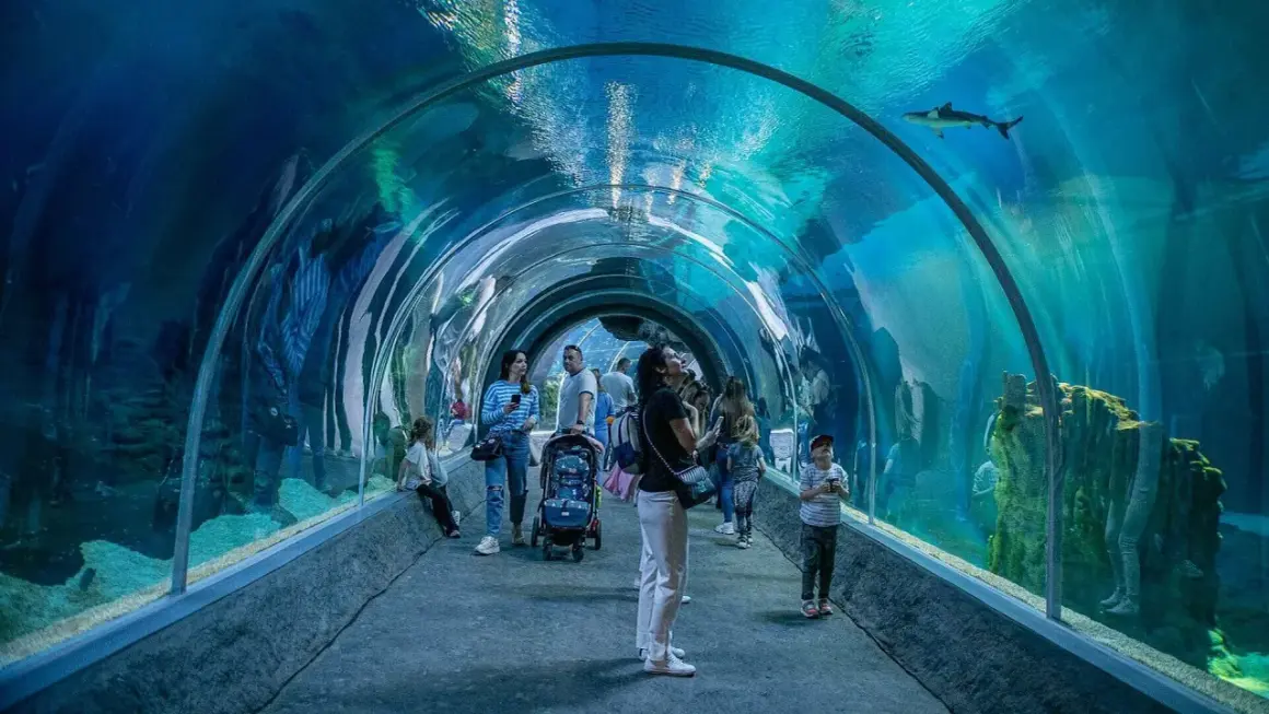 Ludzie spacerują pod wodą w tunelu orientarium, podziwiając rekiny i inne morskie stworzenia.