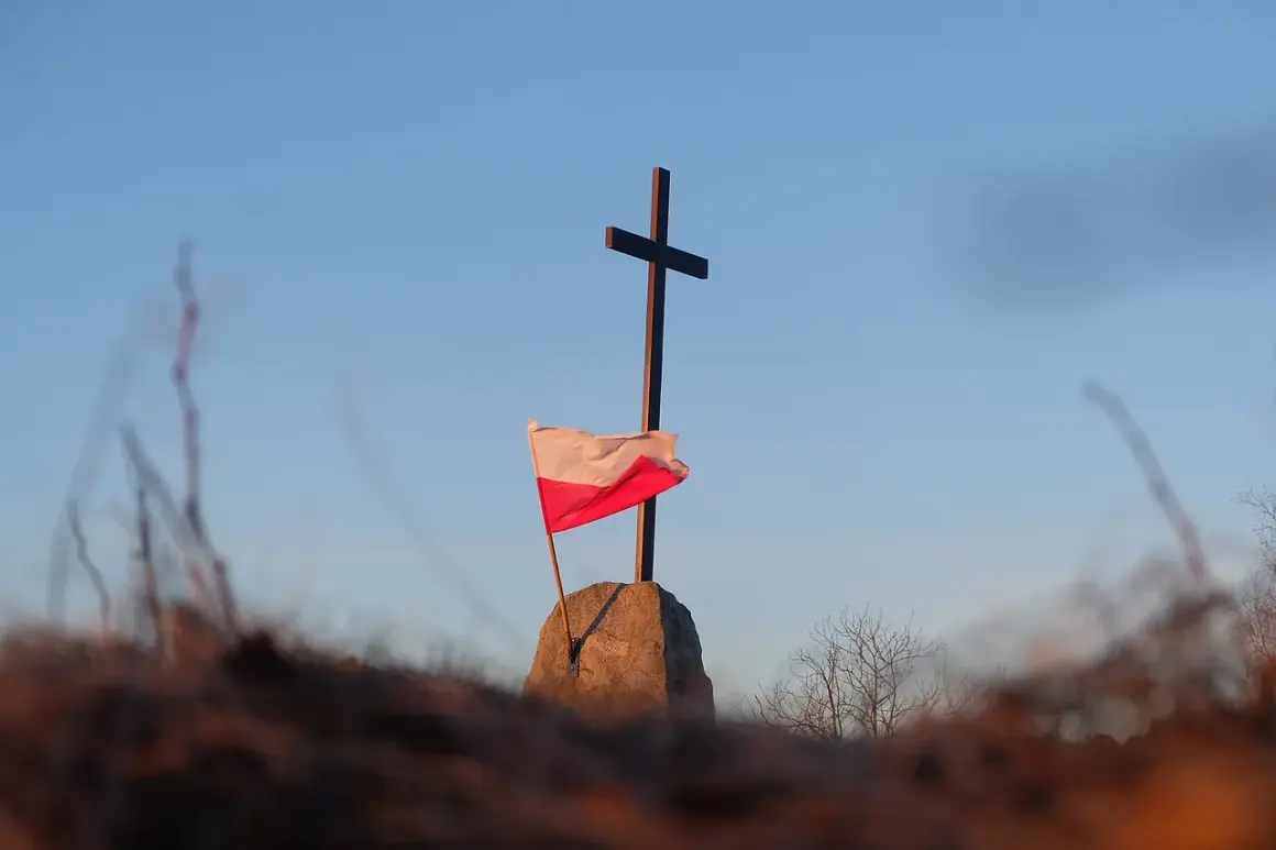 Dlaczego warto czytać książki o historii Polski?