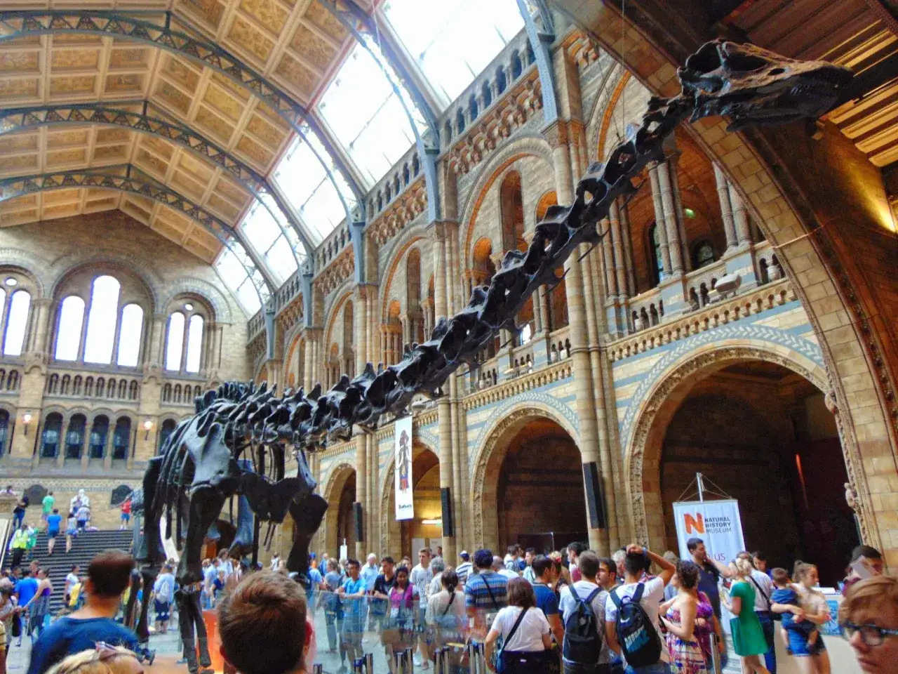 Szkielet dinozaura w Muzeum Historii Naturalnej w Londynie. Sprawdź muzeum historii naturalnej londyn cena biletu, by zaplanować wizytę.
