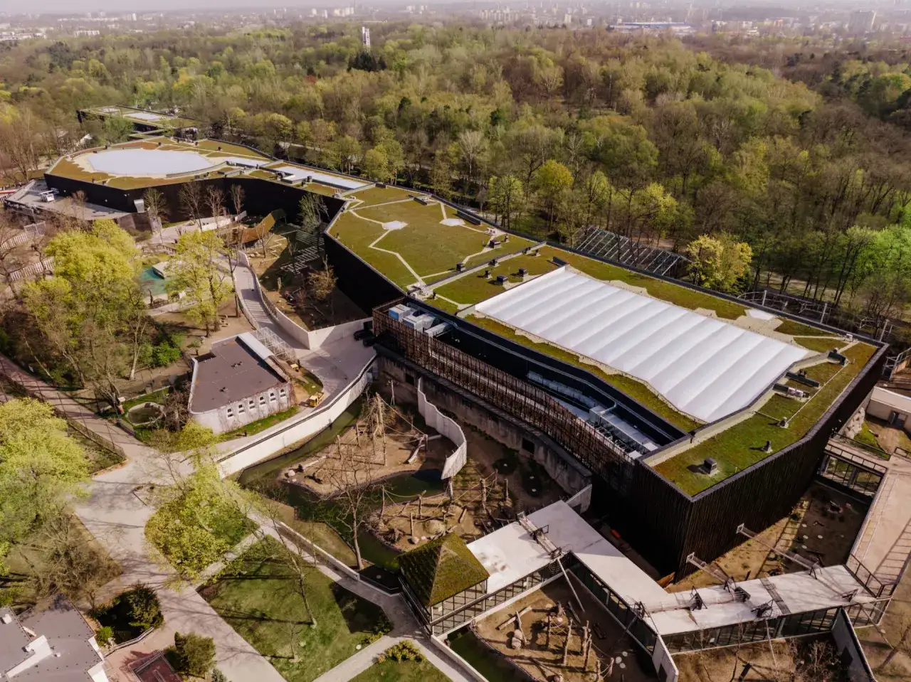Widok z lotu ptaka na nowoczesne zoo z zielonymi dachami. Widać wybiegi dla zwierząt i ścieżki, po których spacerują dzieci.