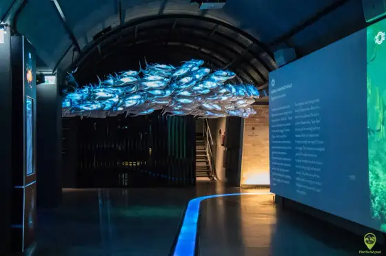 Wrocław z dziećmi - Plan na udany weekend (ZOO, Hydropolis)